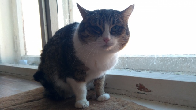 Приёмник для животных - 6.jpg